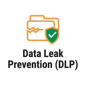 Data Loss Prevention(DLP)